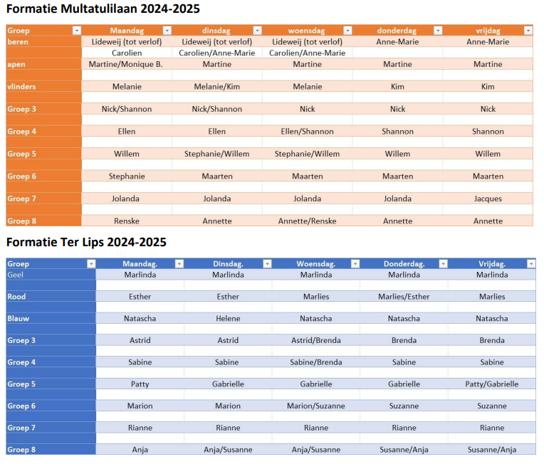 formatie-2024-2025.png